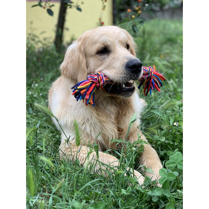 Nuts For Knots "Twist-Tee" 2 Knot Tugger Cotton Dog Toy