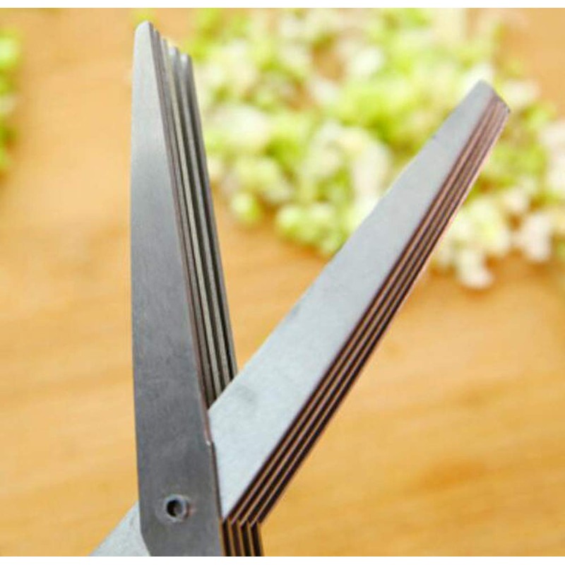 Herb Scissors with 5 Sharp Blades Kitchen Shears for Shallot