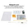 Latch Hook Rug Kit DIY Latch Hook Craft Kits for