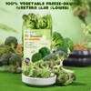 Freeze-Dried Broccoli Crunch - 100% Natural, No Additives | 1.76oz