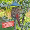 Pine Tree Farms Woodpecker Classic Seed Log for Wild Birds,