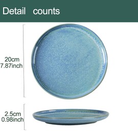 Feenmai Ceramic Plates Set of 4, 8 inch Porcelain Serving Platter, Reactive Glaze Plate, Vintage Ceramic Dishes for Salad, Steak, Pasta, Dessert, Appetizer, Pizza, Microwave and Dishwasher Safe