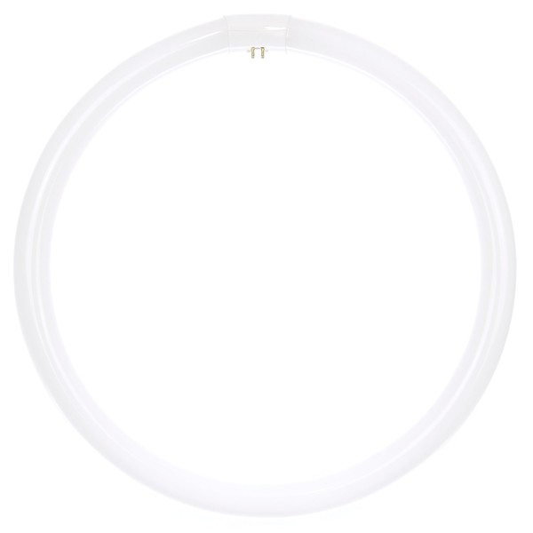 Sunlite FC16T9/CW 40W 05021 Fluorescent T9 Crcline Ceiling Light Bulb, 2600 Lumens, G10q 4-Pin Base, 40 Watts (16-Inch), Cool White