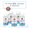 Kal Calcio 1000mg Magnesio 400mg Zinc 15mg Apoyo Salud 250ct