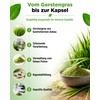 vit4ever Organic Barley Grass - 365 Capsules - Storage Pack