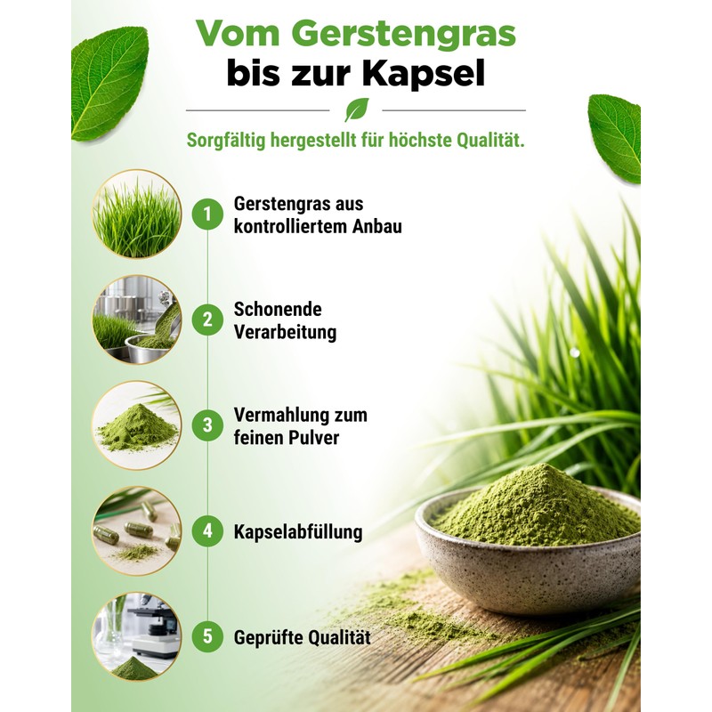 vit4ever Organic Barley Grass - 365 Capsules - Storage Pack