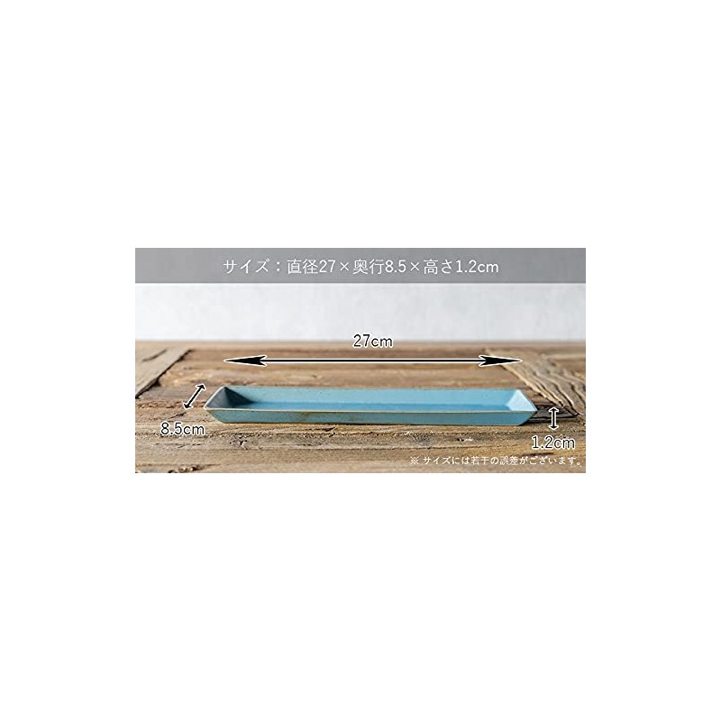 TAMAKI T-937761 Casane Wide Plate, 10.6 inches (27 cm), Width