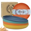 Homienly 10 inch Wheat Straw Dinner Plates Set of 8