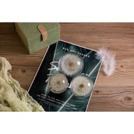 Paperweight Dandelion A Dream Ball. Crystal Wishing Ball. Unique Paperweight Made of Dandelion. The perfect gift. (7 cm) diameter.