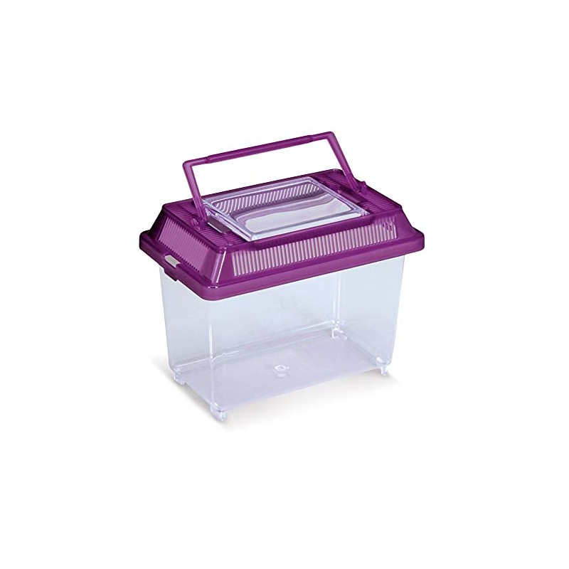 Aqua-Terrarium, Plastic, Mini