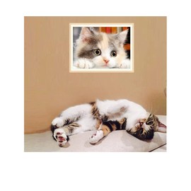 Diamond Art Kit Calico Cat Round Drill Diamond Art Painting Kit for Adults Kitten for Adults DIY Diamond Art Craft for Home Decor, 12"×16"