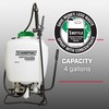 Chapin International 60105 4-Gallon Horticultural Vinegar Backpack Sprayer, Translucent White