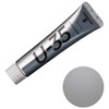 Turner Color U-35 Acrylics Iridescent Silver 20ml UA020870