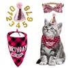 Pack of 4 Cat Birthday Accessories, Cat Birthday Hat with