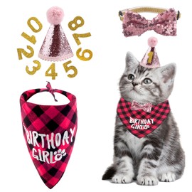 Pack of 4 Cat Birthday Accessories, Cat Birthday Hat with Numbers, Collar Scarf for Home Birthday Accessories