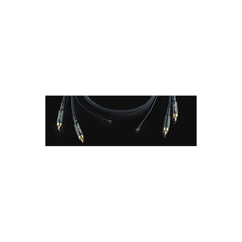 Horn Audiophiles Vinyl Master 1 2 x 1.50 m