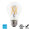 LED 7W A19 Filament Clear Light Bulb, 60W Equivalent, 800