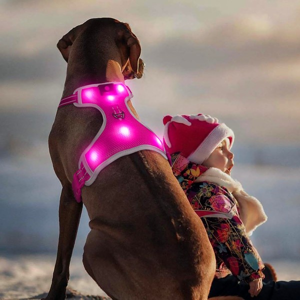 BSEEN Light Up Dog Harness - No Pull LED Dog