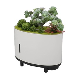 Simulation Plant Humidifier, 20-30mlH 200ml Mini Portable Humidifier USB Charging Silent for Office (US Plug)