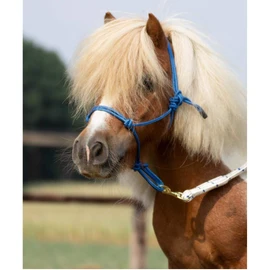 Smooth II Knot Halter