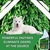 Urine Control Turf Deodorizer for Pet Urine - Bio-Enzymatic Odor