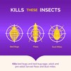 Hot Shot Ready-to-Use Bed Bug Killer Spray, Kills Bed Bugs
