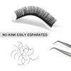 Eyelash Extensions 0.05 D Curl 13mm QUEWEL Classic Eyelash Extensions