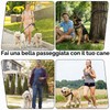 Guinzaglio per Cani Regolabile 2m per Cani Di Taglia Grande
