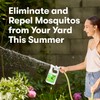BugMD Mosquito Amigo Ant Killer & Bug Spray - Outdoor