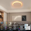 TALOYA Compatible with Alexa Flush Mount Ceiling Light, 12 inch