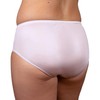 Shadowline Women's Underwear Nylon Hipster Panty with Lace Insert 3