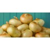 Generic Fresh Sweet Vidalia Onions, USA Grown, NON-GMO, Bulk (1