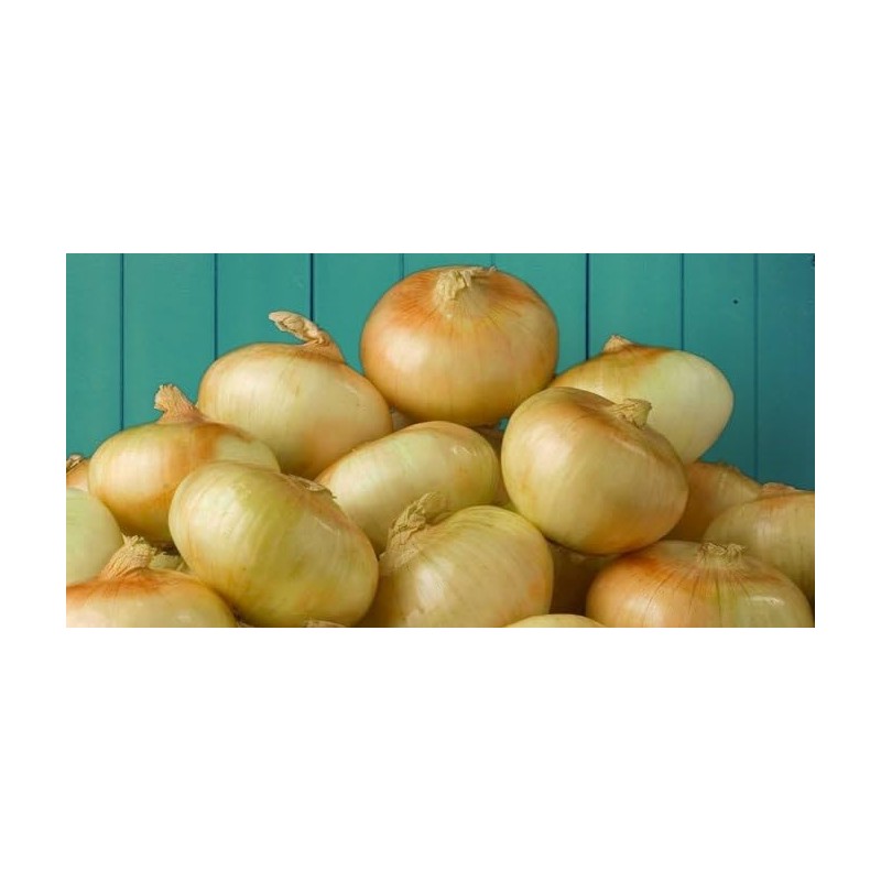 Generic Fresh Sweet Vidalia Onions, USA Grown, NON-GMO, Bulk (1