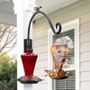 Qiang Ni Heavy-Duty Plant Hanger Outdoor: Hanging Plant Hook for