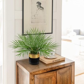 Briful Fake Plant 15.7’’ Artificial Palm Plant in Gold Black Pot Real Touch Faux Tropical Palm Tree Houseplant for Home Indoor Living Room Tabletop Balcony Decorations