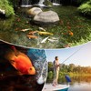 NFESOLAR 4W Solar Aerator for Pond with Built-in 2200mAh Battery