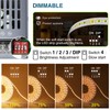 Pack of 2 LED Transformer 230 V to 24 V