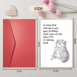 Qiavor Funny Birthday Card for Cat Lover, Rude Cat Birthday Card, Humorous Birthday Card for Friend Family Member, A Little Bird Told Me It Was Your Birthday
