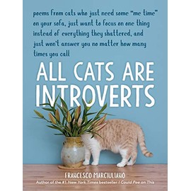 All Cats Are Introverts