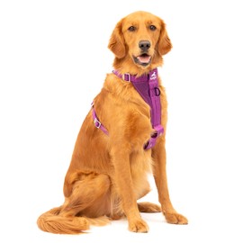 Enhanced Strenght Tru-Fit Smart Harness, Purple, Extra Large