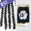 FreeTress Crochet Braids 3X Kids Bohemian Curl 8" (2-PACK, 1B)