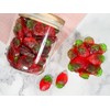 Smarty Stop Gummy Collections (Strawberries, 1 Pound (Pack of 1))