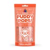 Weruva Puddy Pops, Tuna and Salmon Lickable Cat Treats, 0.5oz