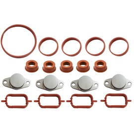 Twowinds Set of 4X 0.86 (22mm) Swirl Flap Delete Kits with 14 Intake Manifold Gaskets for M47 Diesel Engines E90 E46 E39 E60 E61 E65 X3 X5