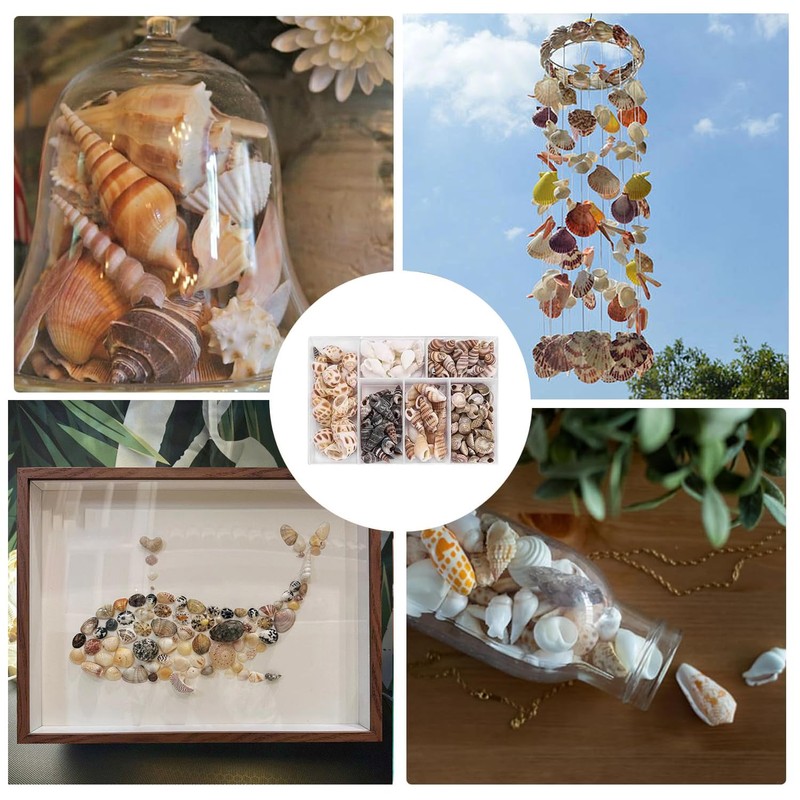 100 Pcs Seashell Mix for Crafts & Decor - Natural