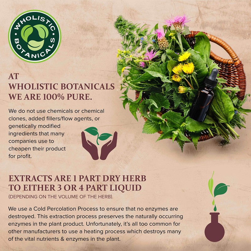 Wholistic Botanicals Virgin Organic Shea Butter — Softening Body Moisturizer,