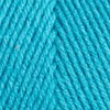 Red Heart Super Saver Jumbo - Turqua (512)