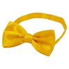 Time to Sparkle Bow Tie Mens Bowties Pre-tied Shape Clip