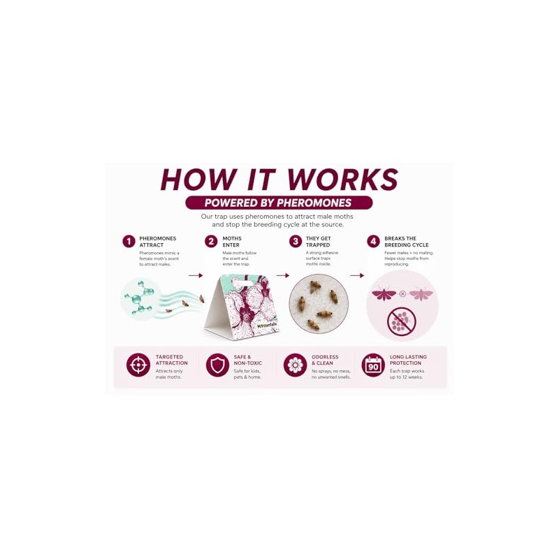 Premium Clothes Moth Traps - 6-Pack Non-Toxic Protection