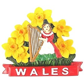 Welsh Lady with Daffodils Magnet